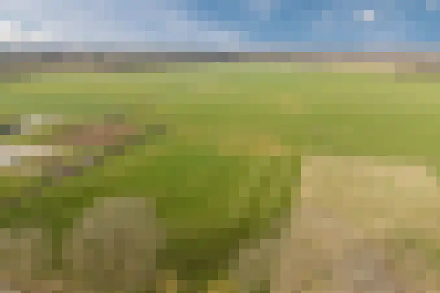 De Tollande 25 Hoogeloon thumbnail 83