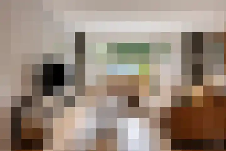 De Toltoren 23 Rhenen thumbnail 10