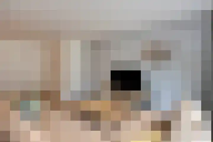 De Toltoren 23 Rhenen thumbnail 11