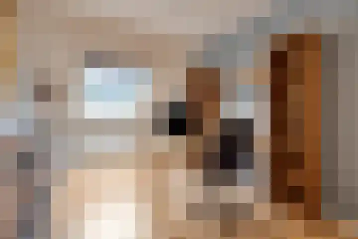 De Toltoren 23 Rhenen thumbnail 22