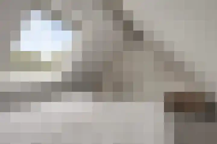 De Toltoren 23 Rhenen thumbnail 24