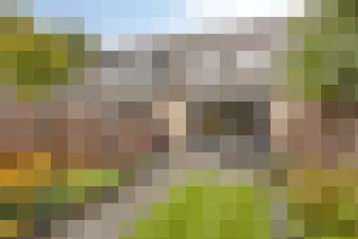 De Toltoren 23 Rhenen thumbnail 25
