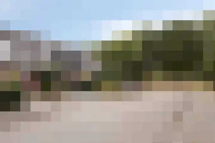 De Toltoren 23 Rhenen thumbnail 27