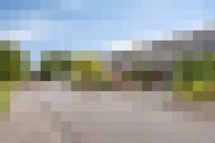 De Toltoren 23 Rhenen thumbnail 29