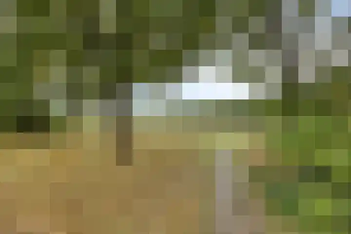 De Toltoren 23 Rhenen thumbnail 30