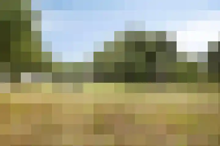 De Toltoren 23 Rhenen thumbnail 31
