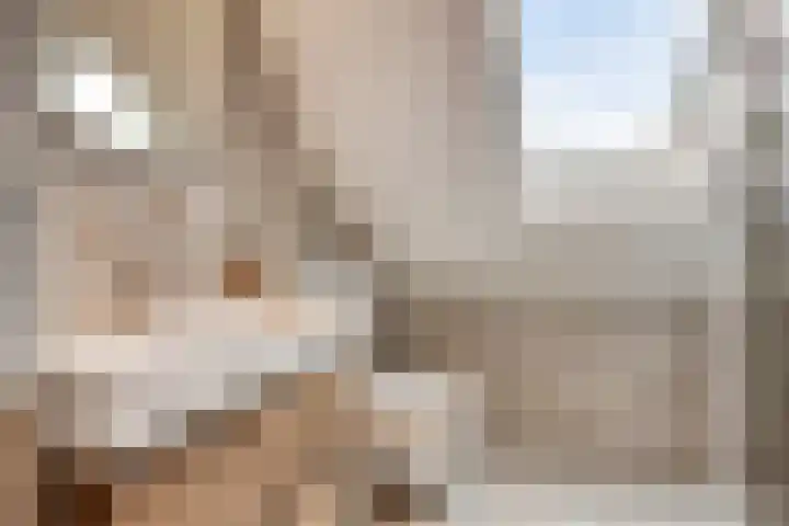 De Toltoren 23 Rhenen thumbnail 4