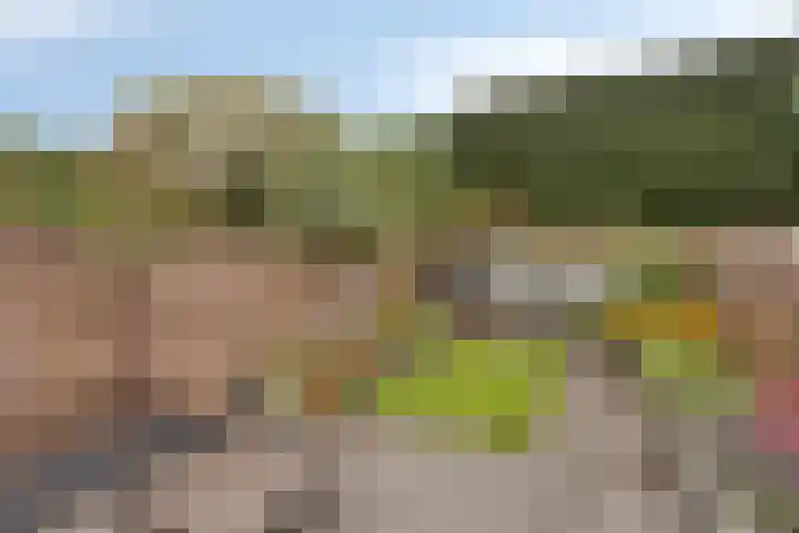 De Toltoren 23 Rhenen thumbnail 5