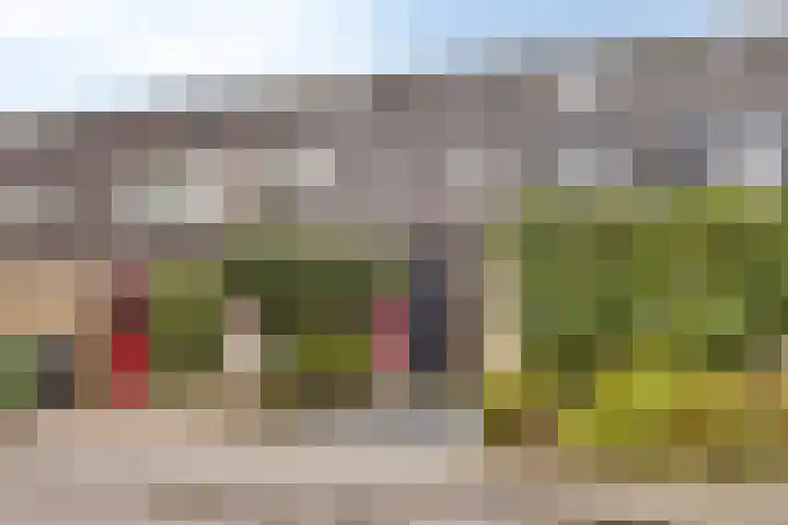 De Toltoren 23 Rhenen thumbnail 6