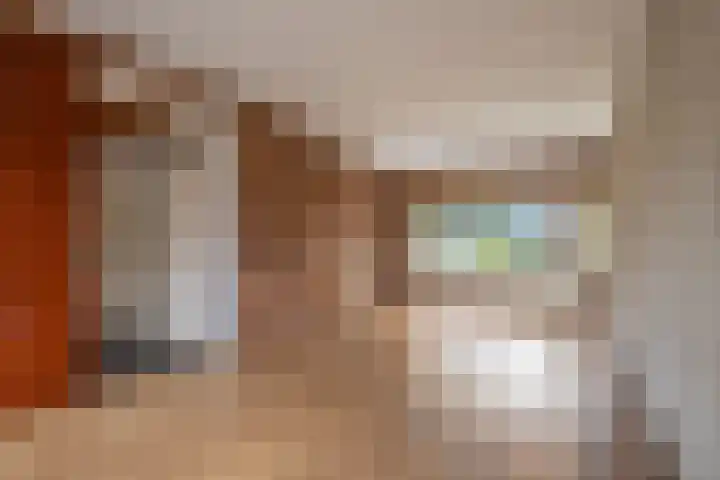 de Tolve 11 Goutum thumbnail 18