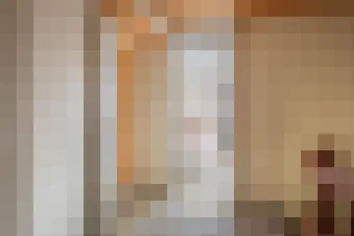 de Tolve 11 Goutum thumbnail 23