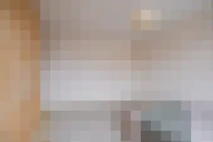 de Tolve 11 Goutum thumbnail 25