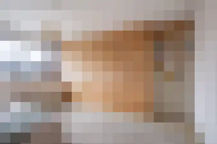de Tolve 11 Goutum thumbnail 26