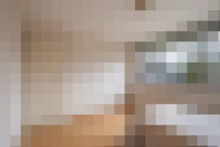 de Tolve 11 Goutum thumbnail 30