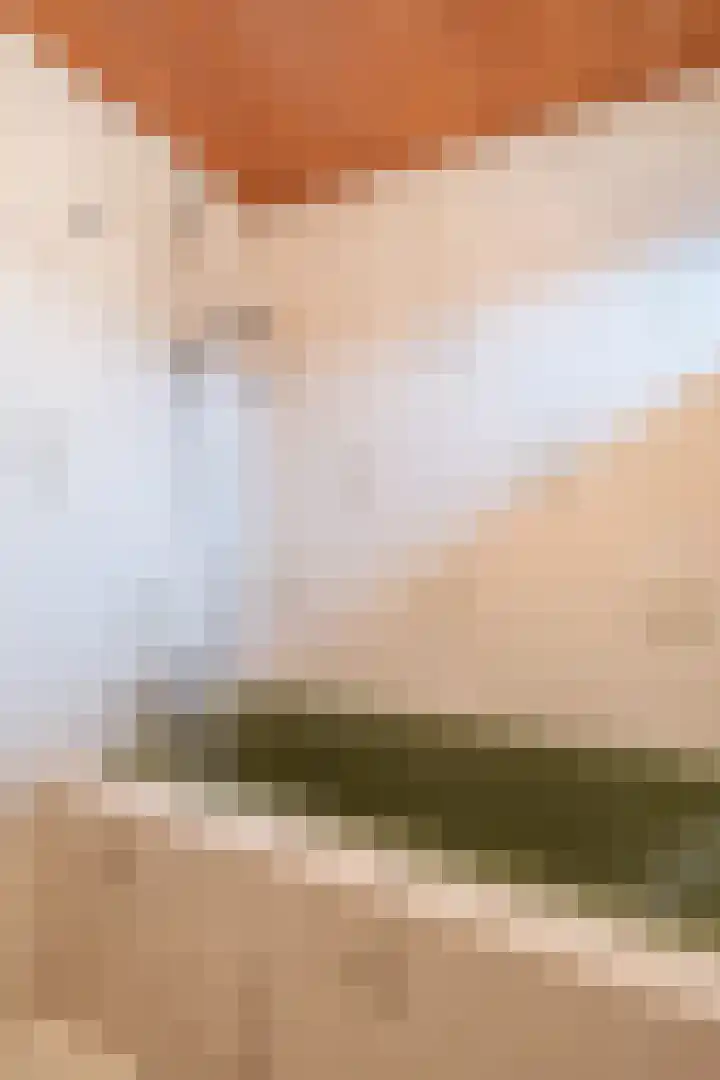 de Tolve 11 Goutum thumbnail 32