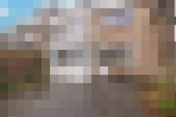de Tolve 11 Goutum thumbnail 37