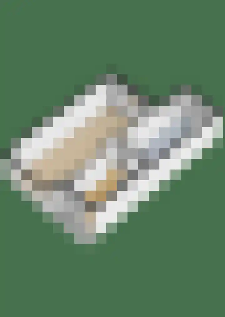 de Tolve 11 Goutum thumbnail 42