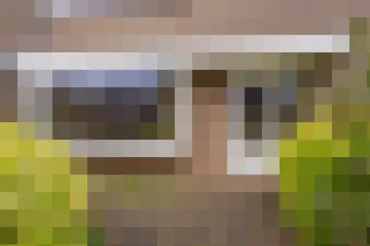 de Tolve 11 Goutum thumbnail 9