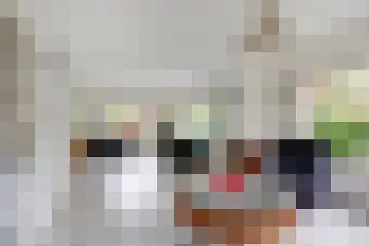 de Tolve 16 Goutum thumbnail 10