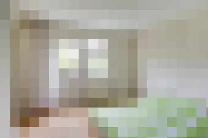de Tolve 16 Goutum thumbnail 18