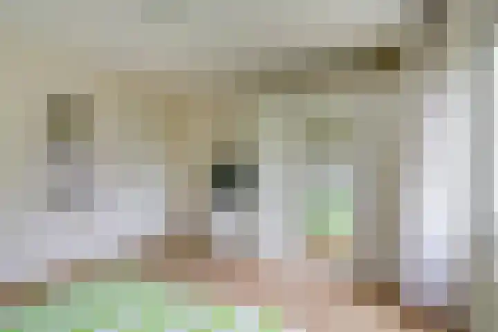 de Tolve 16 Goutum thumbnail 19