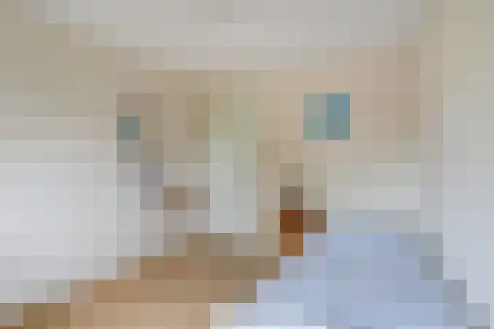 de Tolve 16 Goutum thumbnail 23