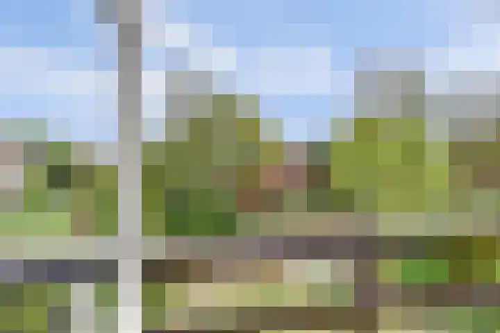 de Tolve 16 Goutum thumbnail 24