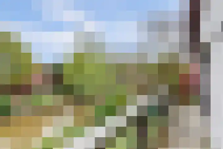 de Tolve 16 Goutum thumbnail 25