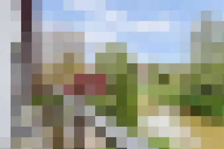 de Tolve 16 Goutum thumbnail 26