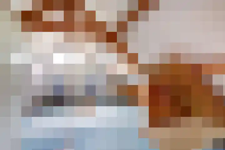 de Tolve 16 Goutum thumbnail 30