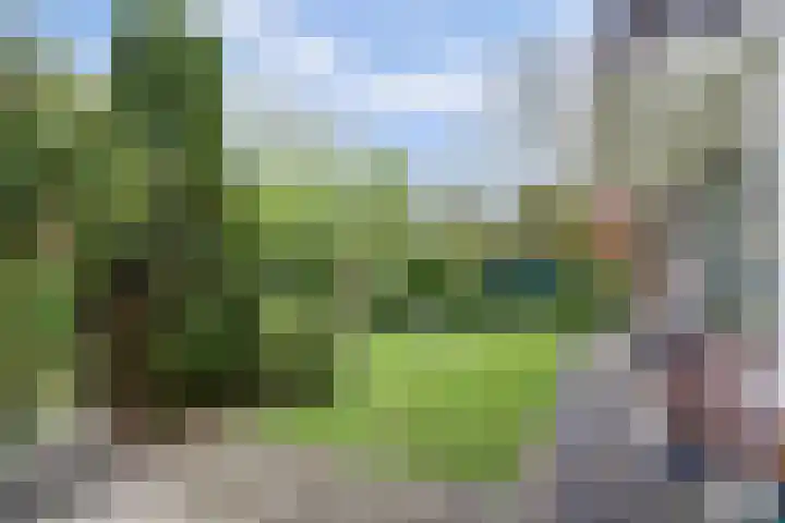 de Tolve 16 Goutum thumbnail 33