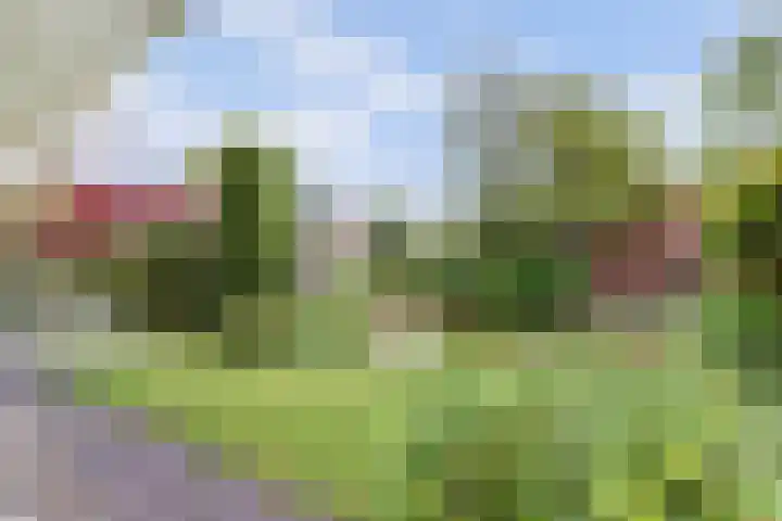 de Tolve 16 Goutum thumbnail 35