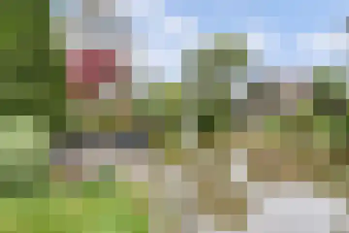 de Tolve 16 Goutum thumbnail 36