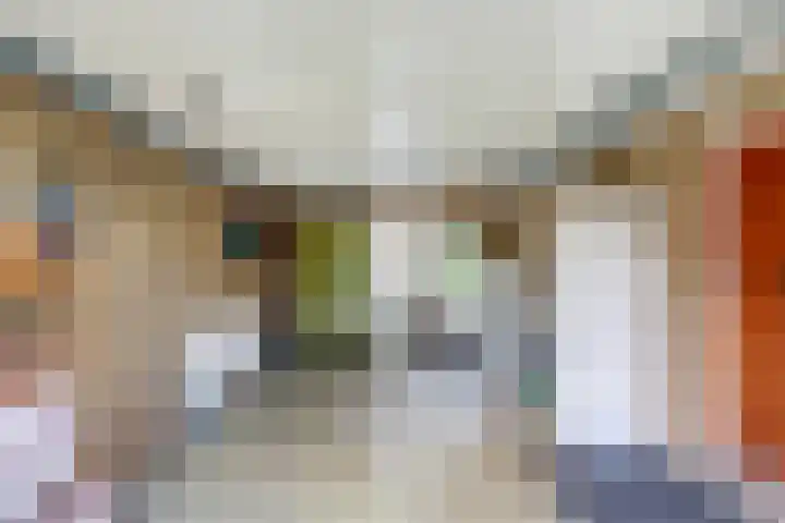 de Tolve 16 Goutum thumbnail 37