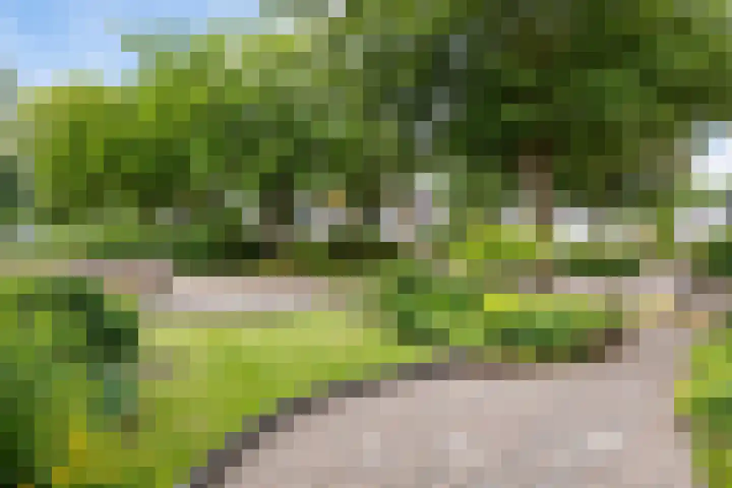 De Tolve 21 Bitgum thumbnail 44