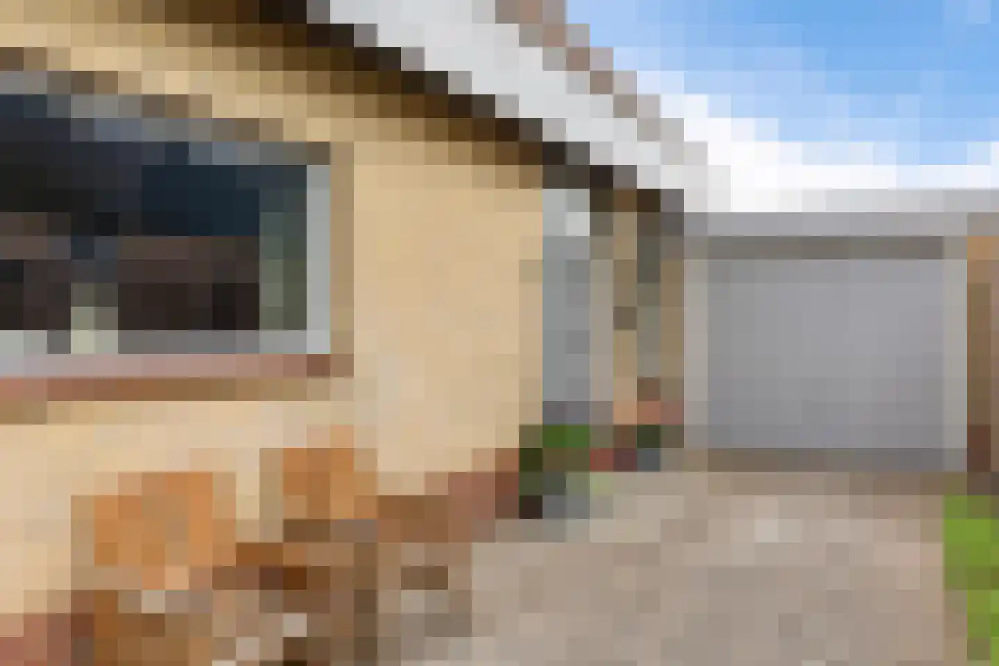 De Tolve 21 Bitgum thumbnail 7