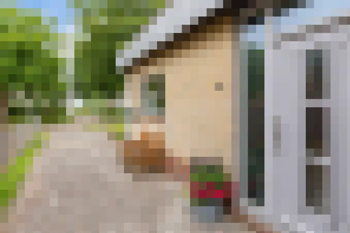 De Tolve 21 Bitgum thumbnail 8