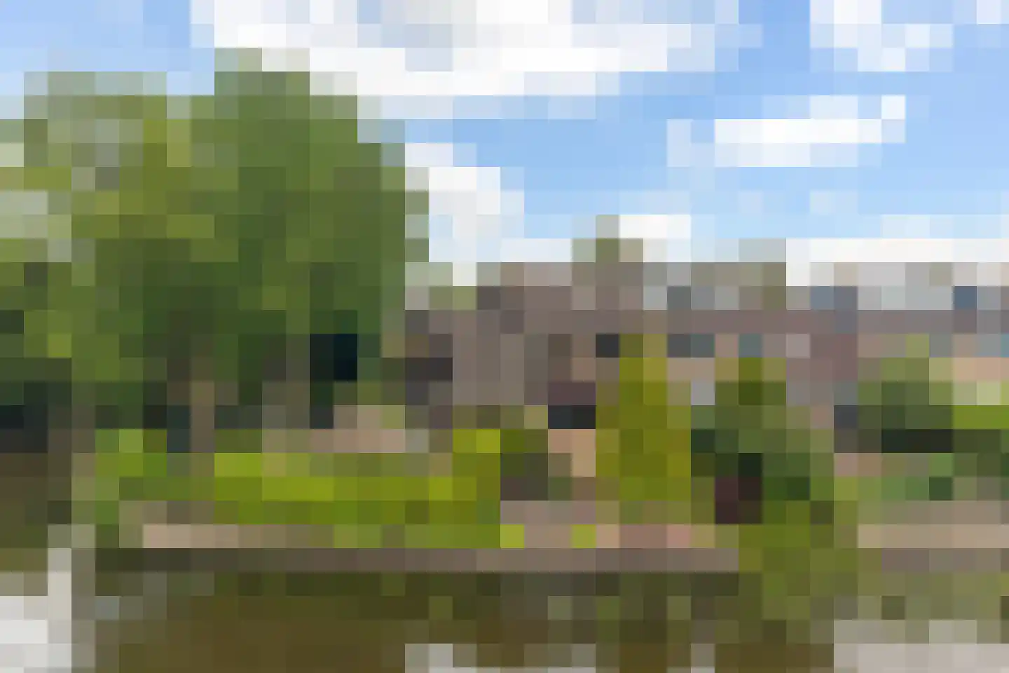 de Tolve 26 in Goutum