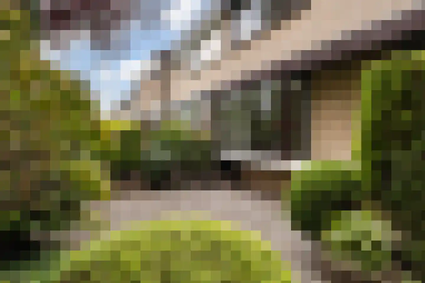 de Tolve 26 Goutum thumbnail 21