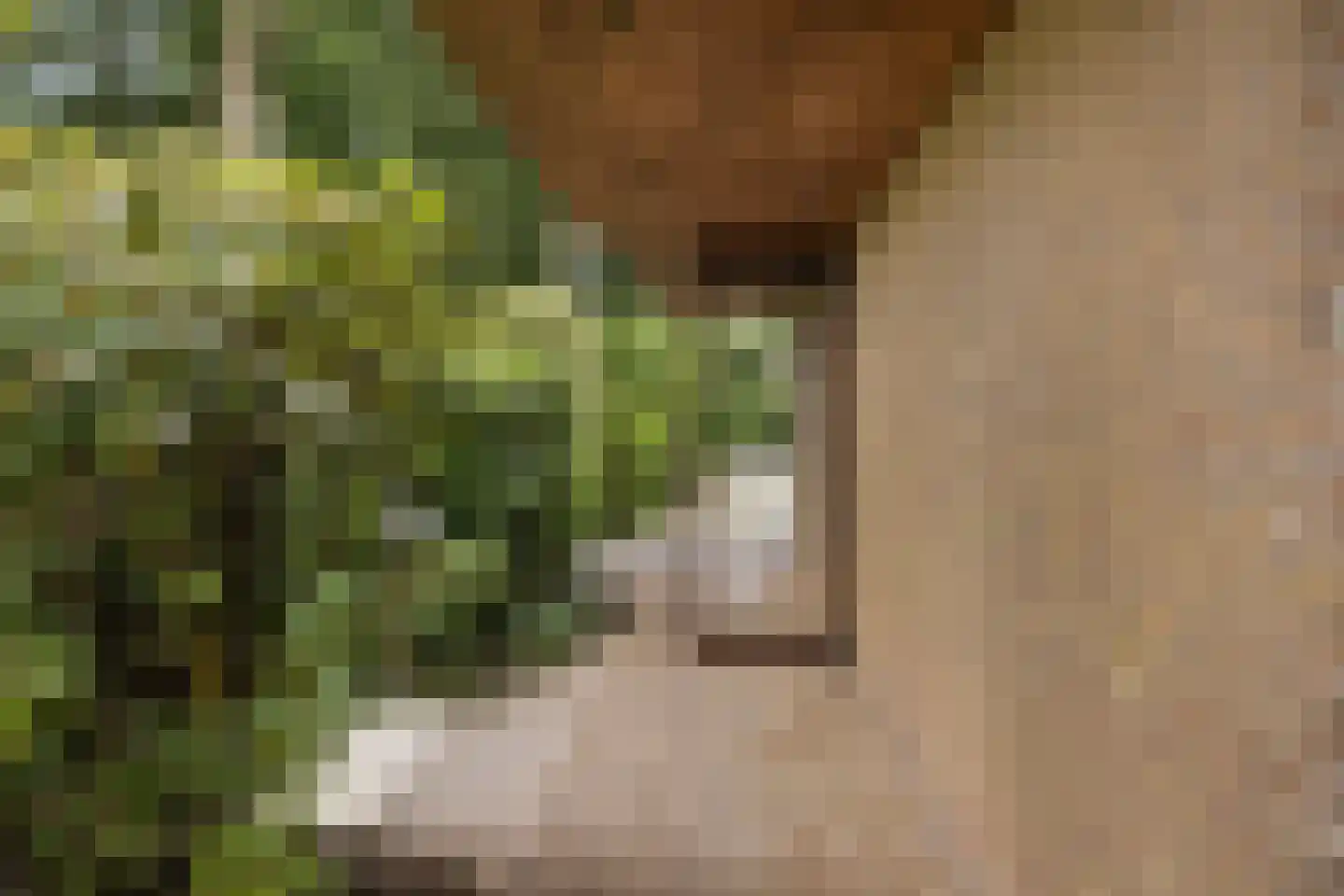 de Tolve 26 Goutum thumbnail 22