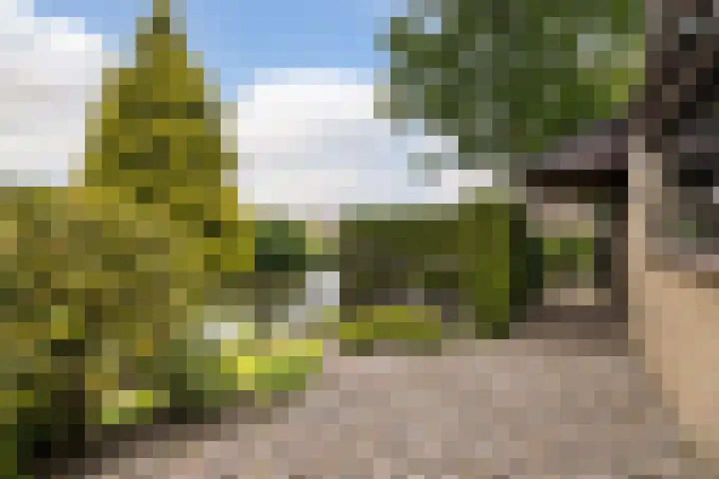 de Tolve 26 Goutum thumbnail 23