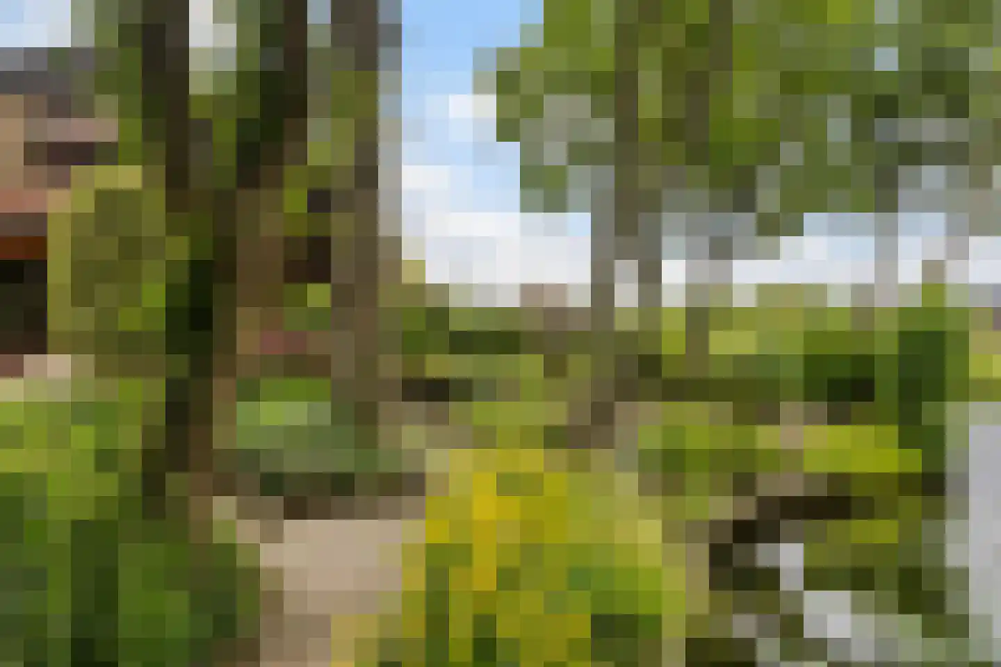 de Tolve 26 Goutum thumbnail 25