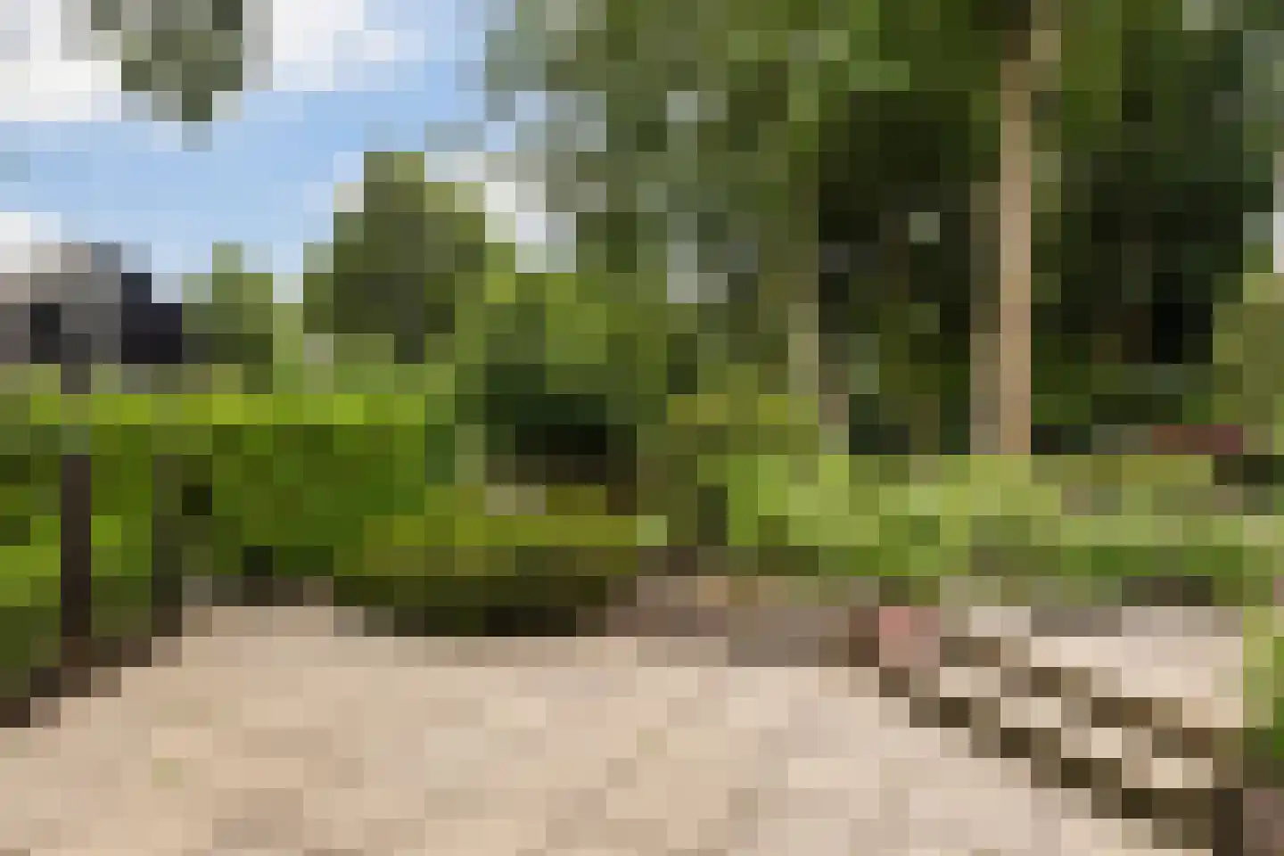 de Tolve 26 Goutum thumbnail 27