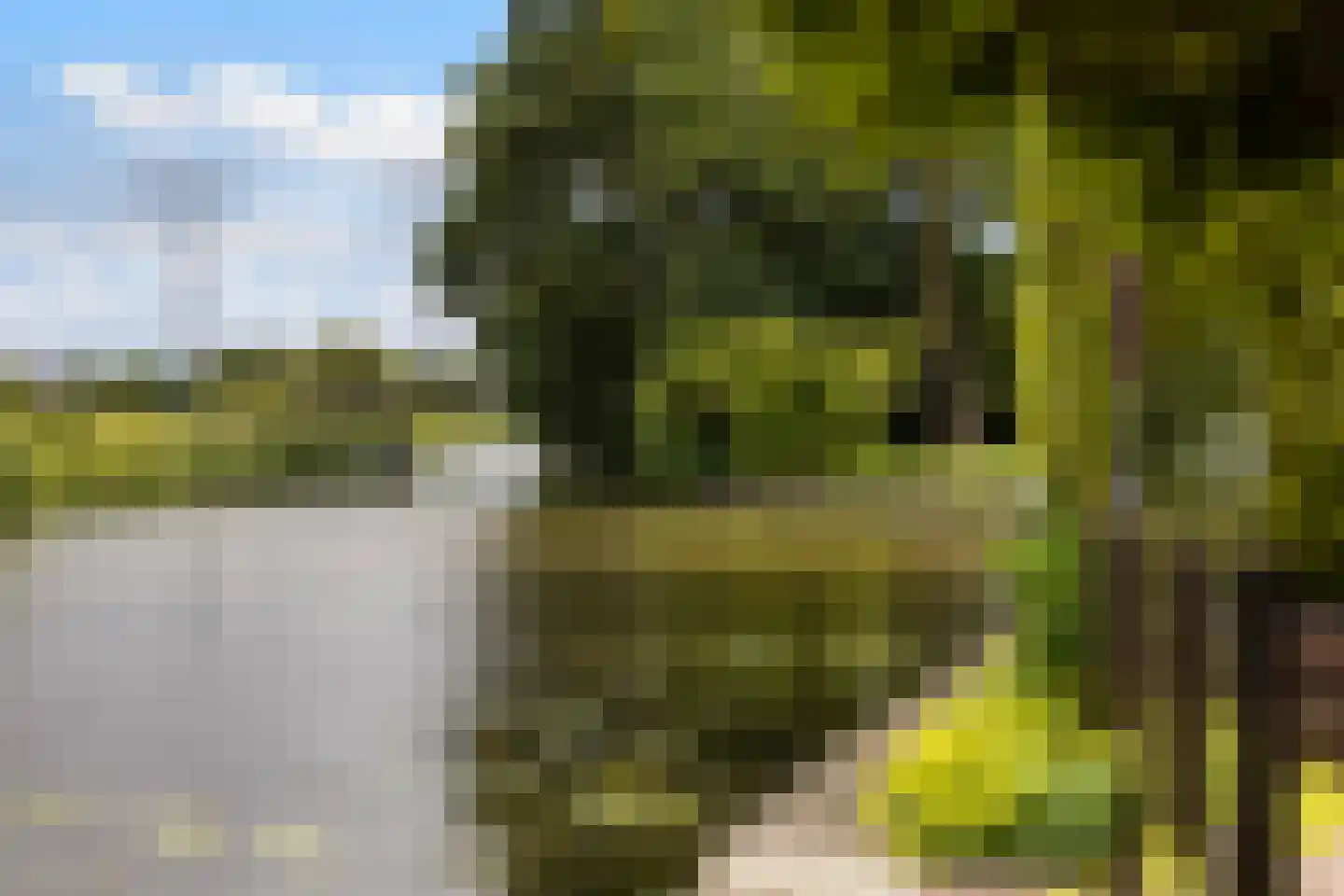 de Tolve 26 Goutum thumbnail 30