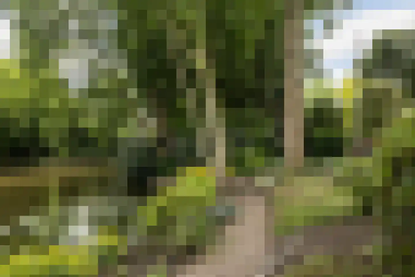 de Tolve 26 Goutum thumbnail 31