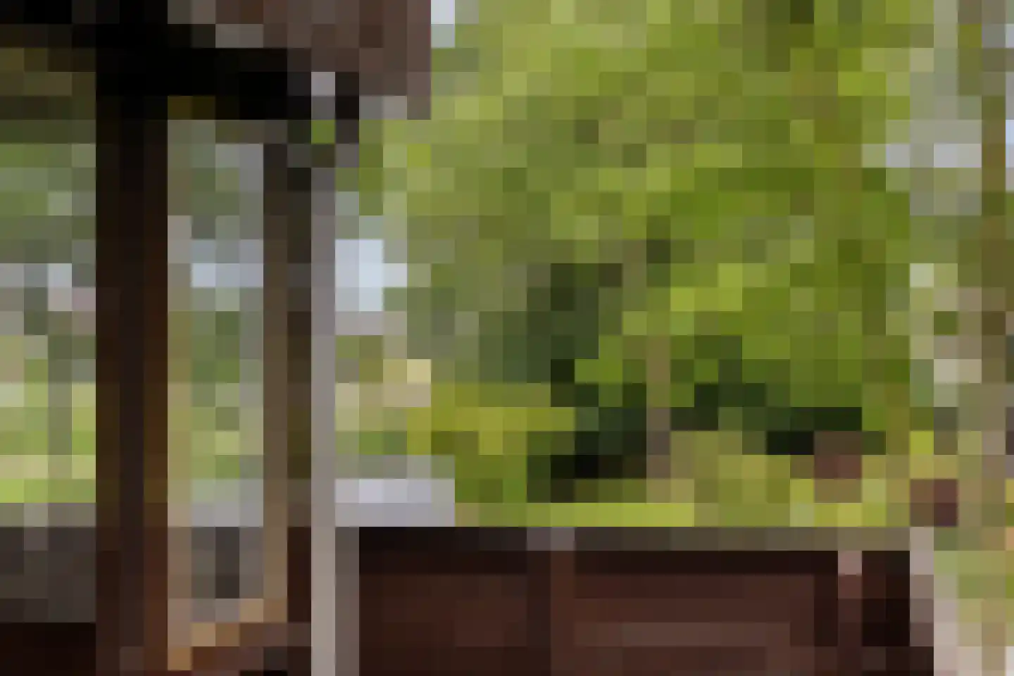 de Tolve 26 Goutum thumbnail 39