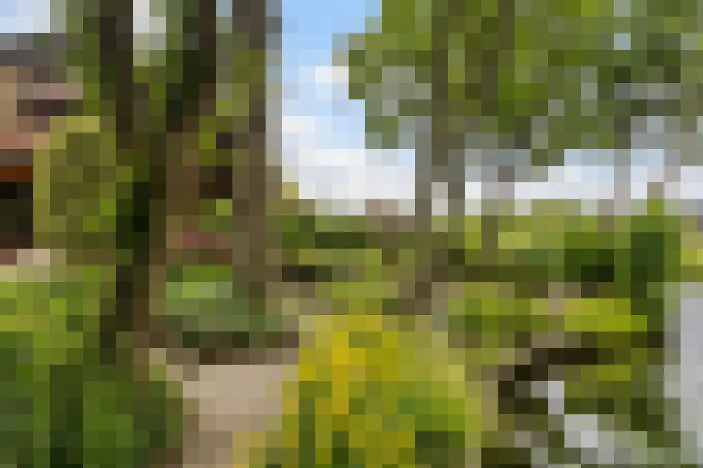 de Tolve 26 Goutum thumbnail 4