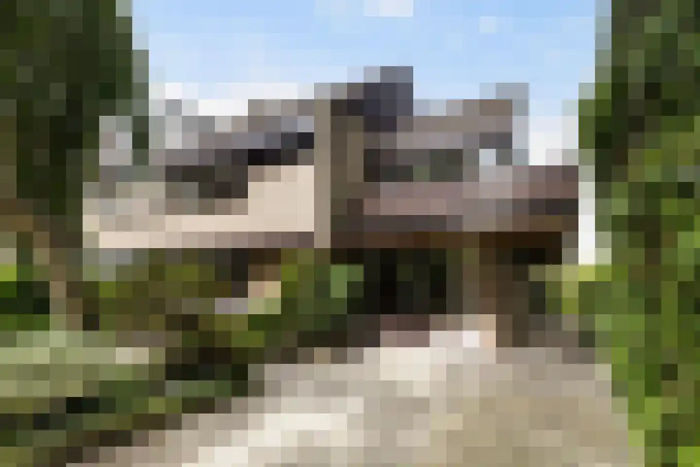 de Tolve 26 Goutum thumbnail 5