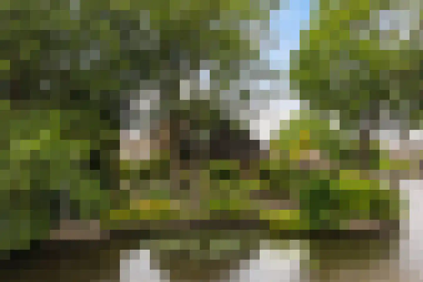 de Tolve 26 Goutum thumbnail 52