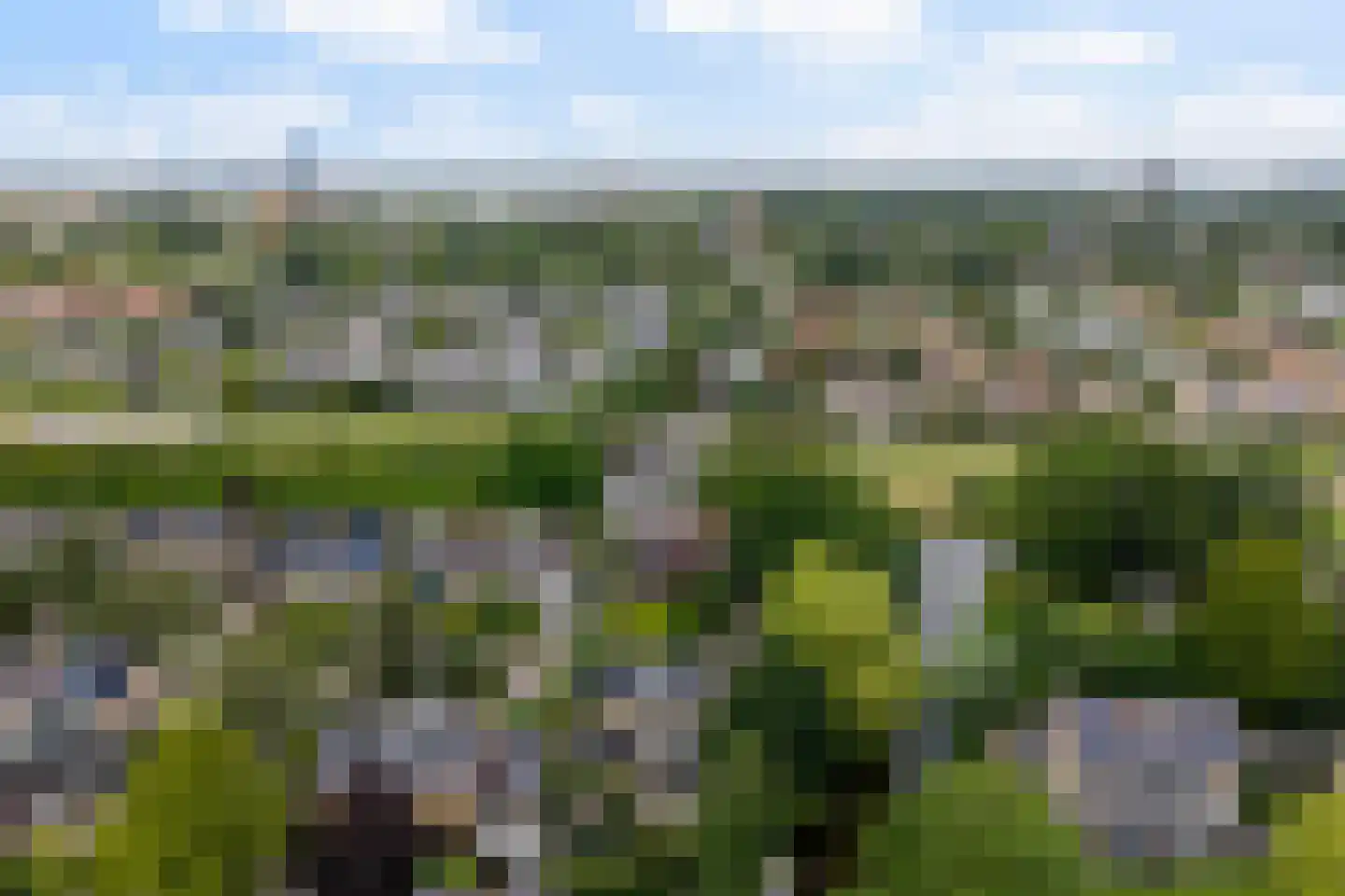 de Tolve 26 Goutum thumbnail 53